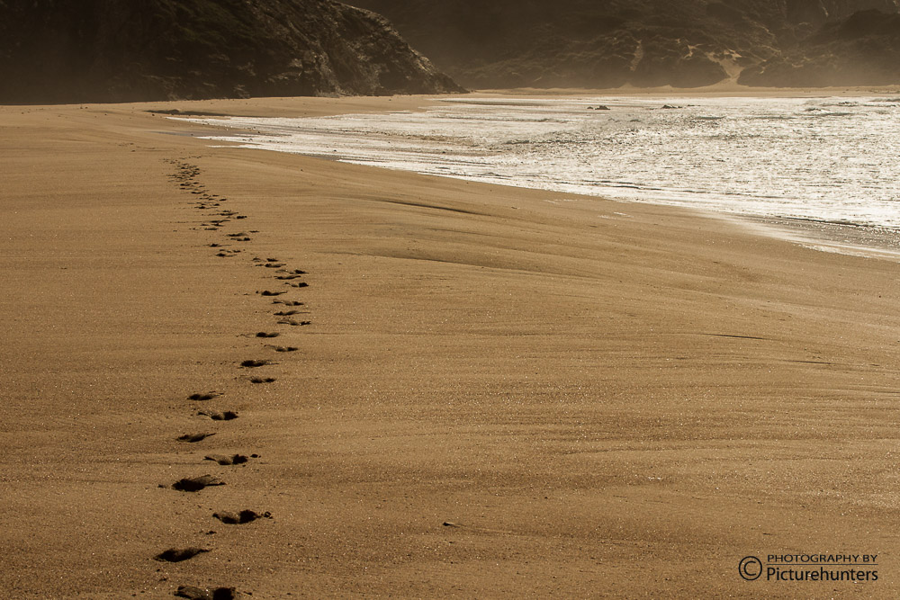 Spuren im Sand bei Sagres | Portugal