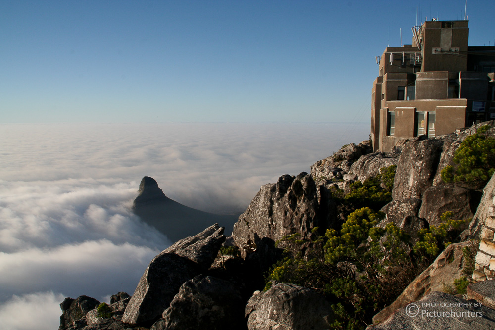 Ausblick vom Tafelberg | Südafrika