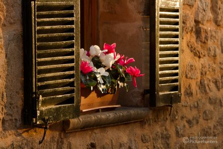 Blumentopf in einem Mallorcafenster