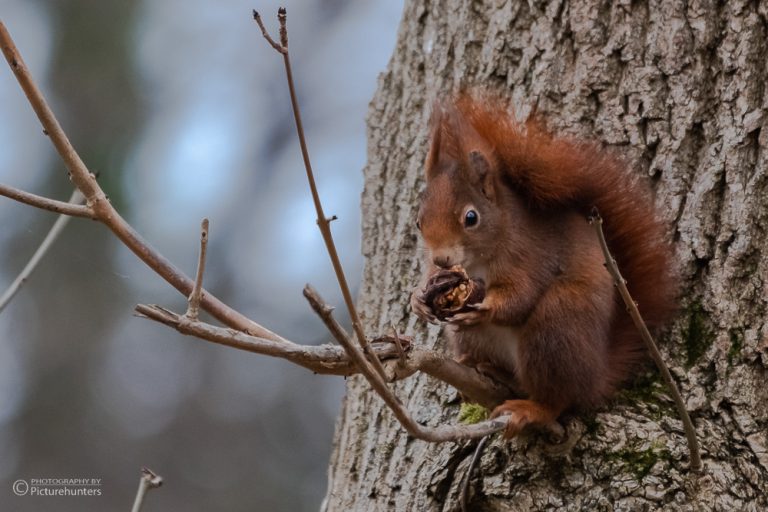 0010-Muenchentour-22-01-02