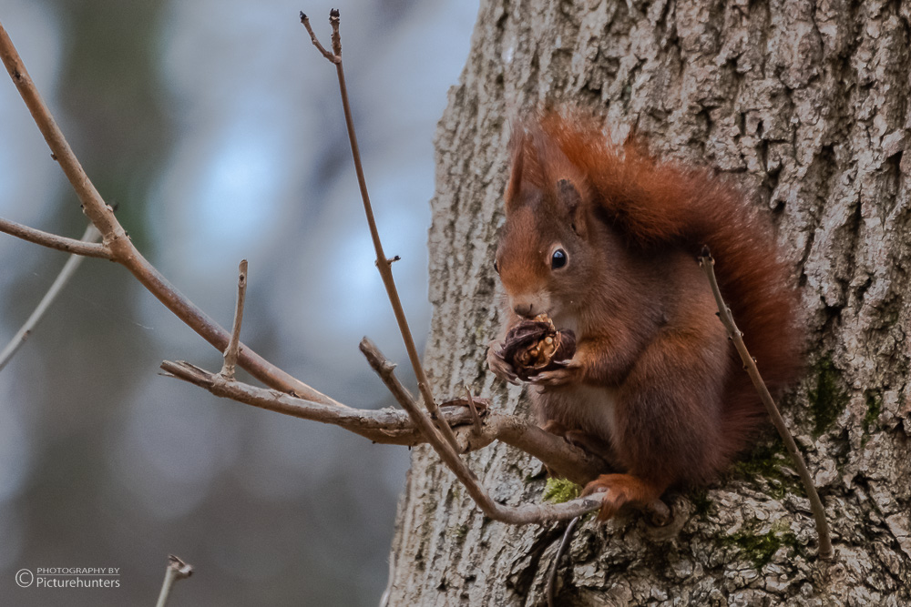 0010-Muenchentour-22-01-02