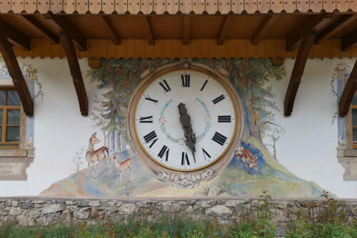 Ein großes Exemplar