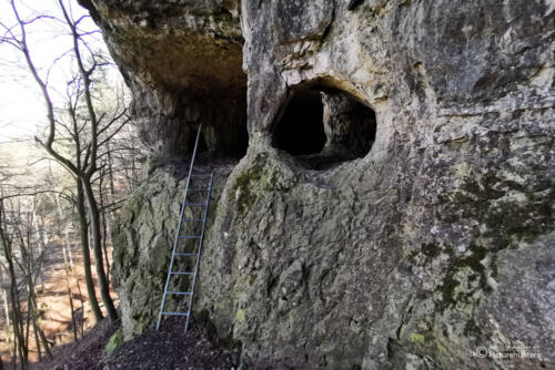Felsenhöhle