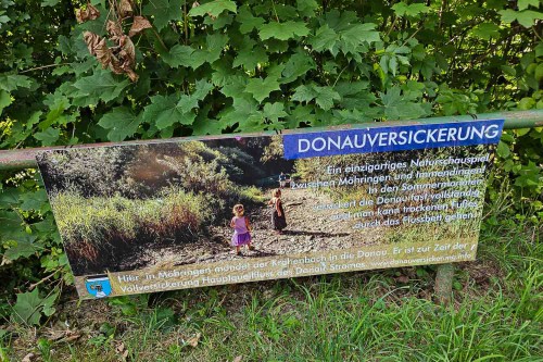 Donauversickerung