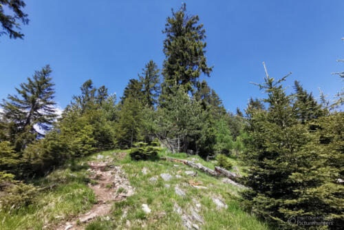 Ziemlich steile Wege