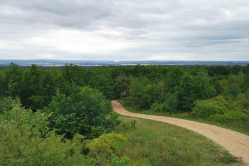 Sophienhöhe - Rundblick