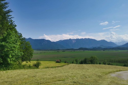 Blick ins Murnauer Moos