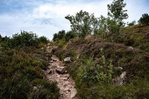 Es geht wieder bergab