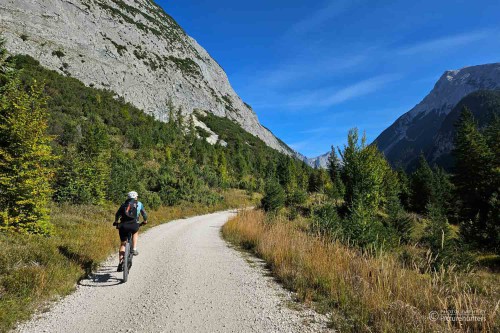 Auf der Forststraße