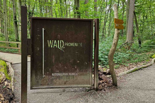 Waldpromenade