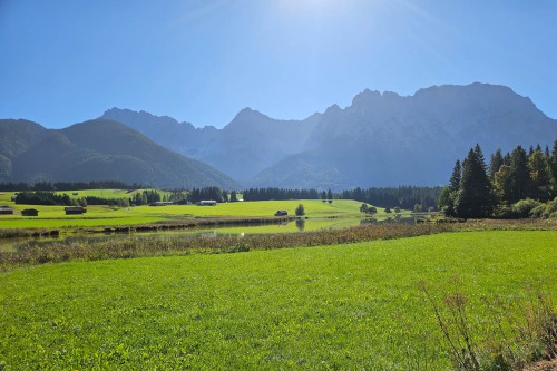 Schmalensee