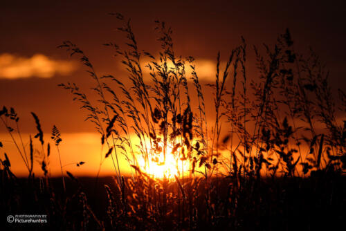 Wunderbare Lichtstimmung