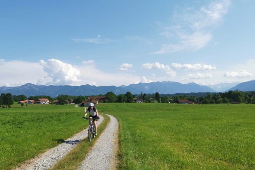 Weg in die Sackgasse