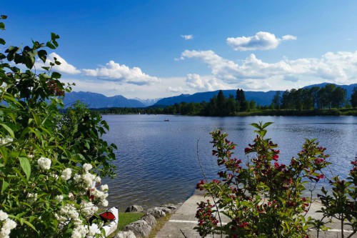 Staffelsee-Blick