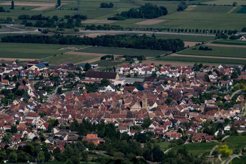 Blick auf Eguisheim