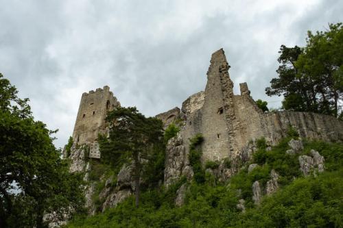 Reste der Burg