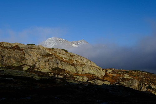 Über der Baumgrenze