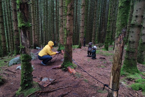 Andrea bei der Arbeit