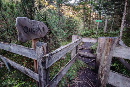 Es geht durch den Wald