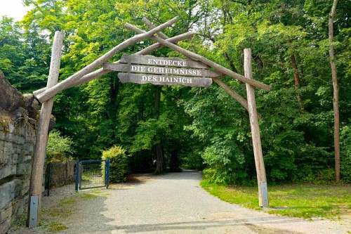 Baumkronenpfad Hainich