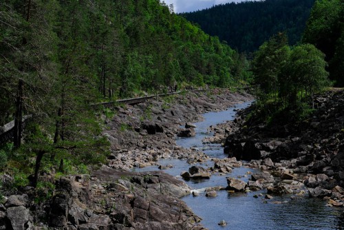 Es geht wieder zurück