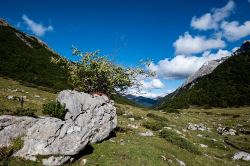 Wunderbare Landschaft