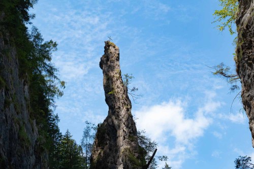 Felsnadel