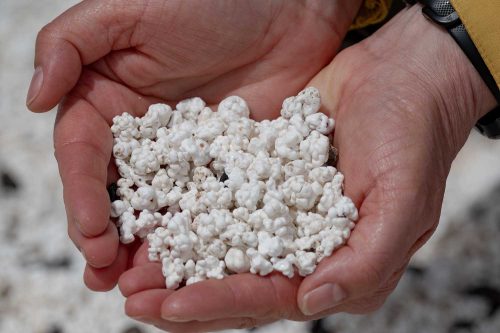 Korallenstücke wie Popcorn