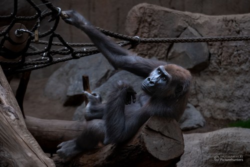 Wir werden beobachtet