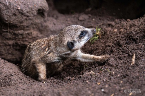 Beim Höhle aufräumen
