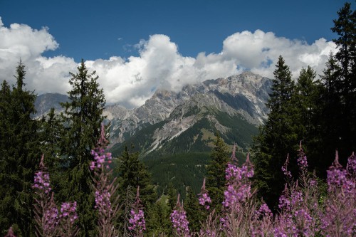 Tolle Bergwelt