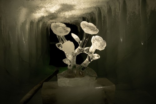 Tolle Eisskulptur