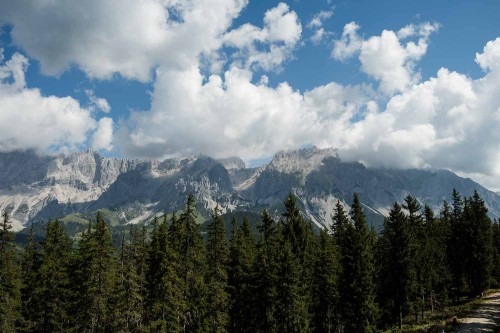 Dachsteinblick