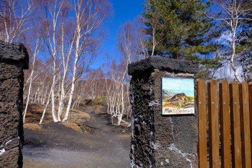 Eingang zum Birkenwald