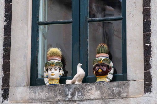 Typische Blumentöpfe