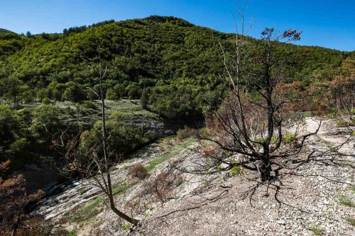 Verbranntes Land