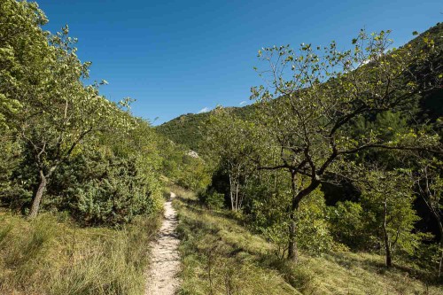 Schmaler Weg