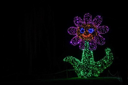 Christmas Garden auf der Mainau