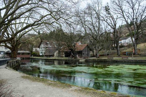 Blick über den Weiher