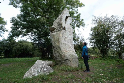 Ziemlich große Steine