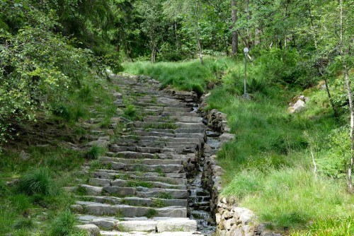 Die Treppen beginnen