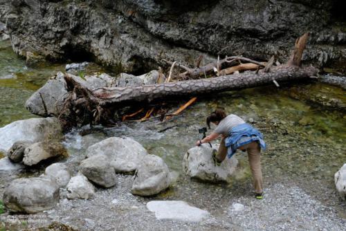 Die Profifotografin am Werk