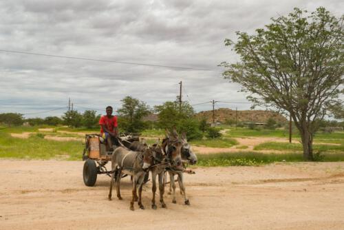 Auch ein Fortbewegungsmittel